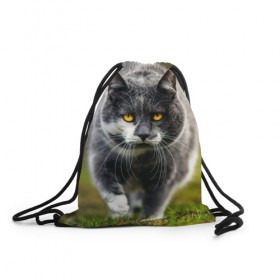 Рюкзак-мешок 3D с принтом Котэ в Новосибирске, 100% полиэстер | плотность ткани — 200 г/м2, размер — 35 х 45 см; лямки — толстые шнурки, застежка на шнуровке, без карманов и подкладки | глаза | киска | кот | котёнок | кошка | усы