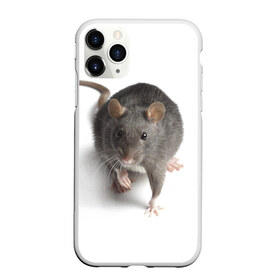 Чехол для iPhone 11 Pro матовый с принтом Крыса в Новосибирске, Силикон |  | животные | крыса | мышка | мышь