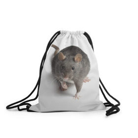 Рюкзак-мешок 3D с принтом Крыса в Новосибирске, 100% полиэстер | плотность ткани — 200 г/м2, размер — 35 х 45 см; лямки — толстые шнурки, застежка на шнуровке, без карманов и подкладки | Тематика изображения на принте: животные | крыса | мышка | мышь