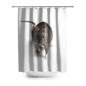 Штора 3D для ванной с принтом Крыса в Новосибирске, 100% полиэстер | плотность материала — 100 г/м2. Стандартный размер — 146 см х 180 см. По верхнему краю — пластиковые люверсы для креплений. В комплекте 10 пластиковых колец | животные | крыса | мышка | мышь