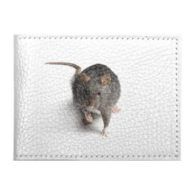 Обложка для студенческого билета с принтом Крыса в Новосибирске, натуральная кожа | Размер: 11*8 см; Печать на всей внешней стороне | животные | крыса | мышка | мышь