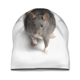 Шапка 3D с принтом Крыса в Новосибирске, 100% полиэстер | универсальный размер, печать по всей поверхности изделия | животные | крыса | мышка | мышь