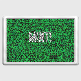 Магнит 45*70 с принтом Mint - Мята в Новосибирске, Пластик | Размер: 78*52 мм; Размер печати: 70*45 | 420 | buds | mint | зеленый | зелень | листья | мята | мятный | природа | раста | растаман | текстура | узор | шишки