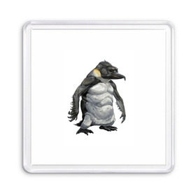 Магнит 55*55 с принтом Пингвинопитек в Новосибирске, Пластик | Размер: 65*65 мм; Размер печати: 55*55 мм | лженаука | пингвин