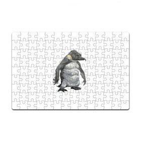Пазл магнитный 126 элементов с принтом Пингвинопитек в Новосибирске, полимерный материал с магнитным слоем | 126 деталей, размер изделия —  180*270 мм | лженаука | пингвин
