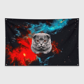 Флаг-баннер с принтом Космический кот в Новосибирске, 100% полиэстер | размер 67 х 109 см, плотность ткани — 95 г/м2; по краям флага есть четыре люверса для крепления | 3d | cat | арт | взгляд | кот | кот хипстер | котёнок | котятки | котятушки | кошечки | кошка | мордочка