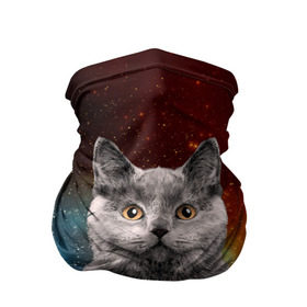 Бандана-труба 3D с принтом Кот в космосе! в Новосибирске, 100% полиэстер, ткань с особыми свойствами — Activecool | плотность 150‒180 г/м2; хорошо тянется, но сохраняет форму | Тематика изображения на принте: 3d | cat | арт | взгляд | вселенная | звезды | земля | космос | кот | кот хипстер | котёнок | котятки | котятушки | кошечки | кошка | мордочка | плеяды | пространство | созвездие