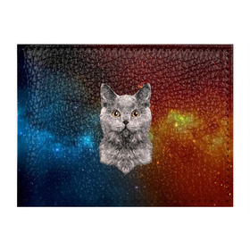Обложка для студенческого билета с принтом Кот в космосе! в Новосибирске, натуральная кожа | Размер: 11*8 см; Печать на всей внешней стороне | 3d | cat | арт | взгляд | вселенная | звезды | земля | космос | кот | кот хипстер | котёнок | котятки | котятушки | кошечки | кошка | мордочка | плеяды | пространство | созвездие