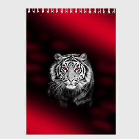 Скетчбук с принтом Тигр красные глаза в Новосибирске, 100% бумага
 | 48 листов, плотность листов — 100 г/м2, плотность картонной обложки — 250 г/м2. Листы скреплены сверху удобной пружинной спиралью |  хищник | багровый | большая кошка | глаза. красные | красный | кровавый | тигр