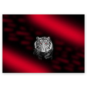 Поздравительная открытка с принтом Тигр красные глаза в Новосибирске, 100% бумага | плотность бумаги 280 г/м2, матовая, на обратной стороне линовка и место для марки
 |  хищник | багровый | большая кошка | глаза. красные | красный | кровавый | тигр