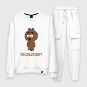 Женский костюм хлопок с принтом Malloy (Brickleberry) в Новосибирске, 100% хлопок | на свитшоте круглая горловина, мягкая резинка по низу. Брюки заужены к низу, на них два вида карманов: два 