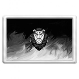 Магнит 45*70 с принтом Лев в Новосибирске, Пластик | Размер: 78*52 мм; Размер печати: 70*45 | 3d | арт | голова животного | король | лев | природа | сила | царь