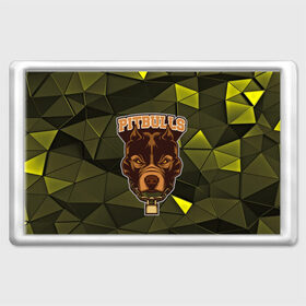 Магнит 45*70 с принтом Pitbulls в Новосибирске, Пластик | Размер: 78*52 мм; Размер печати: 70*45 | Тематика изображения на принте: dog | pitbulls | абстракция | геометрия | животные | собака | треугольники | цепь