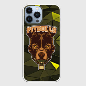 Чехол для iPhone 13 Pro Max с принтом Pitbulls в Новосибирске,  |  | dog | pitbulls | абстракция | геометрия | животные | собака | треугольники | цепь