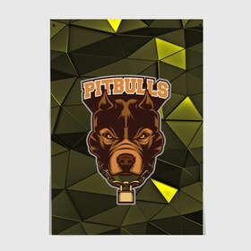 Постер с принтом Pitbulls в Новосибирске, 100% бумага
 | бумага, плотность 150 мг. Матовая, но за счет высокого коэффициента гладкости имеет небольшой блеск и дает на свету блики, но в отличии от глянцевой бумаги не покрыта лаком | dog | pitbulls | абстракция | геометрия | животные | собака | треугольники | цепь