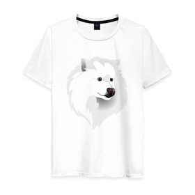 Мужская футболка хлопок с принтом Самоед в Новосибирске, 100% хлопок | прямой крой, круглый вырез горловины, длина до линии бедер, слегка спущенное плечо. | ездовая собака | ес | лайка | самоедская собака