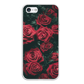 Чехол для iPhone 5/5S матовый с принтом Бархатные розы в Новосибирске, Силикон | Область печати: задняя сторона чехла, без боковых панелей | бархат | бутоны | роза | розы | цветы