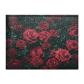 Обложка для студенческого билета с принтом Бархатные розы в Новосибирске, натуральная кожа | Размер: 11*8 см; Печать на всей внешней стороне | бархат | бутоны | роза | розы | цветы
