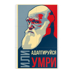 Магнитный плакат 2Х3 с принтом Дарвин в Новосибирске, Полимерный материал с магнитным слоем | 6 деталей размером 9*9 см | Тематика изображения на принте: адаптация | жизнь | история | наука | отбор | человек | эволюция