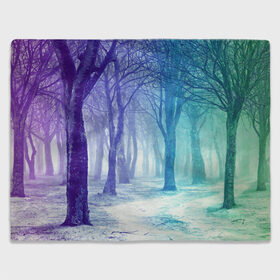 Плед 3D с принтом Мрачный лес в Новосибирске, 100% полиэстер | закругленные углы, все края обработаны. Ткань не мнется и не растягивается | вечер | деревья | загадочный | зеленый | земля | зима | лес | необычный | природа | свет | свечение | сибирь | снег | тайга | фиолетовый | яркий