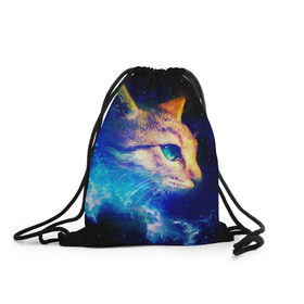 Рюкзак-мешок 3D с принтом Звездный кот в Новосибирске, 100% полиэстер | плотность ткани — 200 г/м2, размер — 35 х 45 см; лямки — толстые шнурки, застежка на шнуровке, без карманов и подкладки | звезды | кот | мордочка | темный