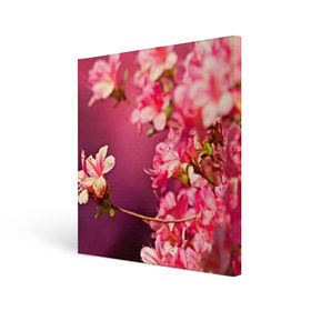 Холст квадратный с принтом Сакура в Новосибирске, 100% ПВХ |  | 3d | flower | nature | pink | sakura | весна | деревья | природа | розовый | сакура | цветы | япония