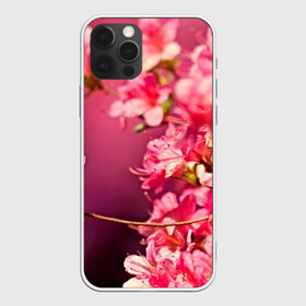 Чехол для iPhone 12 Pro Max с принтом Сакура в Новосибирске, Силикон |  | 3d | flower | nature | pink | sakura | весна | деревья | природа | розовый | сакура | цветы | япония