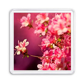 Магнит 55*55 с принтом Сакура в Новосибирске, Пластик | Размер: 65*65 мм; Размер печати: 55*55 мм | 3d | flower | nature | pink | sakura | весна | деревья | природа | розовый | сакура | цветы | япония