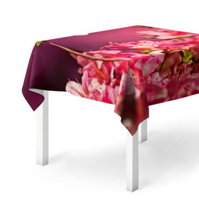 Скатерть 3D с принтом Сакура в Новосибирске, 100% полиэстер (ткань не мнется и не растягивается) | Размер: 150*150 см | 3d | flower | nature | pink | sakura | весна | деревья | природа | розовый | сакура | цветы | япония