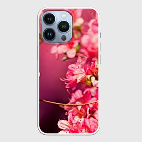 Чехол для iPhone 13 Pro с принтом Сакура в Новосибирске,  |  | 3d | flower | nature | pink | sakura | весна | деревья | природа | розовый | сакура | цветы | япония