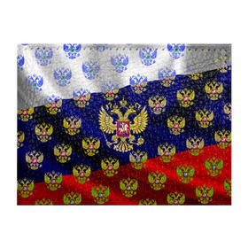 Обложка для студенческого билета с принтом Россыпь гербов РФ в Новосибирске, натуральная кожа | Размер: 11*8 см; Печать на всей внешней стороне | Тематика изображения на принте: герб | государство | желтый | зеленый | знамя | золотой | множество | патриот | развивающийся | российская федерация | россия | рф | символ | синий | стяг | триколор | флаг