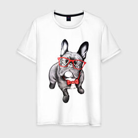 Мужская футболка хлопок с принтом Бульдог в Новосибирске, 100% хлопок | прямой крой, круглый вырез горловины, длина до линии бедер, слегка спущенное плечо. | bulldog | dog | бабочка | бульдог в очках | в очках | дог | очки | собака