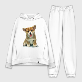 Женский костюм хлопок Oversize с принтом Коржик в Новосибирске,  |  | corgi | dog | korgi | вельш корги | дог | кардиган | корги | пемброк | собака | щенок