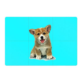 Магнитный плакат 3Х2 с принтом Корги в Новосибирске, Полимерный материал с магнитным слоем | 6 деталей размером 9*9 см | corgy | dog | korgi | puppy | вельш корги | кардиган | коржик | пемброк | собака | щенок