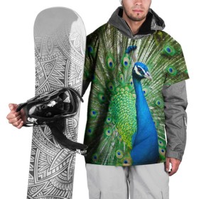 Накидка на куртку 3D с принтом Павлин в Новосибирске, 100% полиэстер |  | Тематика изображения на принте: павлин | перо