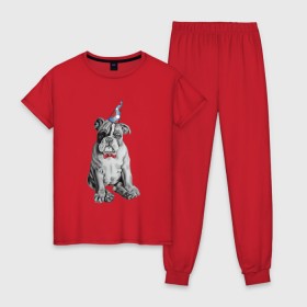 Женская пижама хлопок с принтом праздничный бульдог в Новосибирске, 100% хлопок | брюки и футболка прямого кроя, без карманов, на брюках мягкая резинка на поясе и по низу штанин | dog | happy | бабочка | бульдог | день рождение | дог | собака