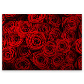 Поздравительная открытка с принтом Красные розы в Новосибирске, 100% бумага | плотность бумаги 280 г/м2, матовая, на обратной стороне линовка и место для марки
 | Тематика изображения на принте: букет | красный | розы | цветы