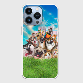 Чехол для iPhone 13 Pro с принтом Пет селфи в Новосибирске,  |  | Тематика изображения на принте: pet | вери | кот | лягушка | мопс | морская свинка | пет селфи | попугай | селфи | хаски | хомяк