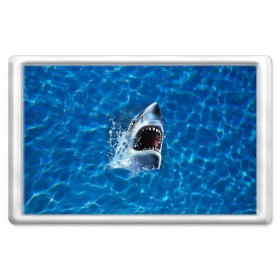 Магнит 45*70 с принтом Пасть акулы в Новосибирске, Пластик | Размер: 78*52 мм; Размер печати: 70*45 | акула | атака | белая | брызги | вода | волны | зубы | капли | море | океан | опасность | синяя | челюсти | эффект