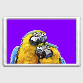 Магнит 45*70 с принтом Попугайчики в Новосибирске, Пластик | Размер: 78*52 мм; Размер печати: 70*45 | Тематика изображения на принте: bird | животные | попугайчики | птицы | текстуры