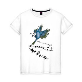 Женская футболка хлопок с принтом Ласточка в Новосибирске, 100% хлопок | прямой крой, круглый вырез горловины, длина до линии бедер, слегка спущенное плечо | весна | колибри | крылья | мызыка | ноты | пение | перо | перышко | перья