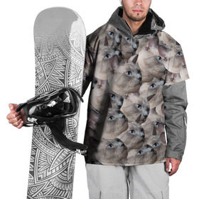 Накидка на куртку 3D с принтом Котики в Новосибирске, 100% полиэстер |  | Тематика изображения на принте: бомбинг | мордочка | паттерн