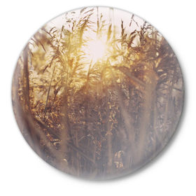 Значок с принтом Солнце во ржи в Новосибирске,  металл | круглая форма, металлическая застежка в виде булавки | Тематика изображения на принте: восход | закат | лучи | поле | природа | растения | рож | солнце | тепло