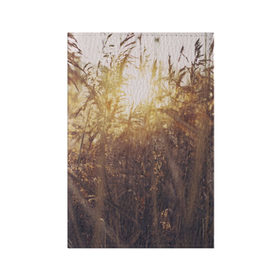 Обложка для паспорта матовая кожа с принтом Солнце во ржи в Новосибирске, натуральная матовая кожа | размер 19,3 х 13,7 см; прозрачные пластиковые крепления | Тематика изображения на принте: восход | закат | лучи | поле | природа | растения | рож | солнце | тепло