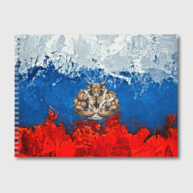 Альбом для рисования с принтом Бык триколор в Новосибирске, 100% бумага
 | матовая бумага, плотность 200 мг. | Тематика изображения на принте: abstraction | grunge | абстракция | буйвол | бык | краска | русский | триколор | я русский