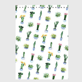 Скетчбук с принтом Кактусы в Новосибирске, 100% бумага
 | 48 листов, плотность листов — 100 г/м2, плотность картонной обложки — 250 г/м2. Листы скреплены сверху удобной пружинной спиралью | горшок | зеленый | кактус | принт | растение | флора | цветы