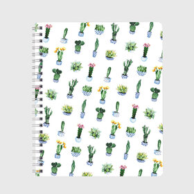 Тетрадь с принтом Кактусы в Новосибирске, 100% бумага | 48 листов, плотность листов — 60 г/м2, плотность картонной обложки — 250 г/м2. Листы скреплены сбоку удобной пружинной спиралью. Уголки страниц и обложки скругленные. Цвет линий — светло-серый
 | горшок | зеленый | кактус | принт | растение | флора | цветы
