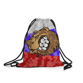 Рюкзак-мешок 3D с принтом Русский Медведь в Новосибирске, 100% полиэстер | плотность ткани — 200 г/м2, размер — 35 х 45 см; лямки — толстые шнурки, застежка на шнуровке, без карманов и подкладки | 
