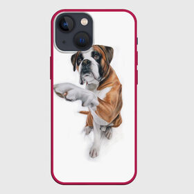 Чехол для iPhone 13 mini с принтом Боксер в Новосибирске,  |  | Тематика изображения на принте: боксер | друг | дружба | животное | пес | собака