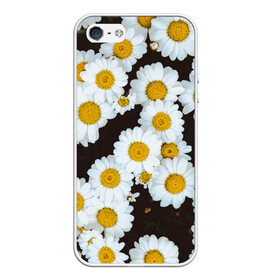 Чехол для iPhone 5/5S матовый с принтом Аромашки в Новосибирске, Силикон | Область печати: задняя сторона чехла, без боковых панелей | белый | желтый | красивые | красота | мода | модные | природа | растения | ромашка | ромашки | текстура | тренды | цветы